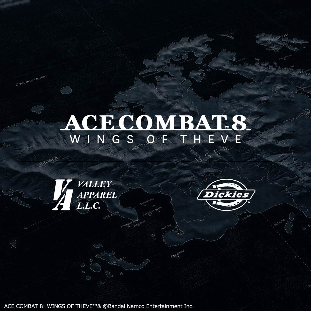 ACE COMBAT8×VALLEY　Dickies
